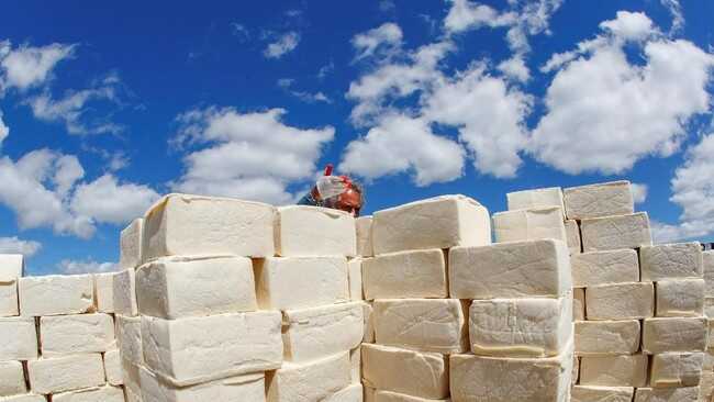 Researchers Find Doomsday Signs Now Visible in Cheese