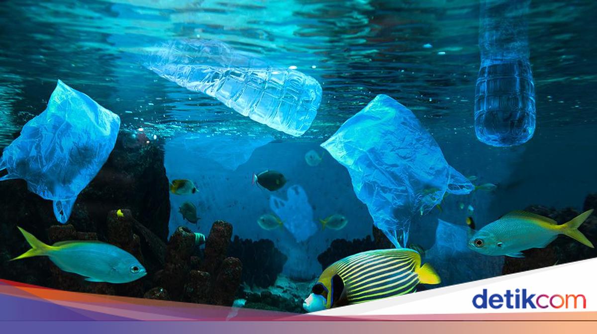 BRIN Finds Microplastics at Depths of 2,450 Metres in Indonesian Waters