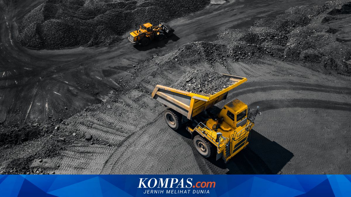 Revenue Rises, Petrosea's Net Profit in 2025 Surges 197 Percent