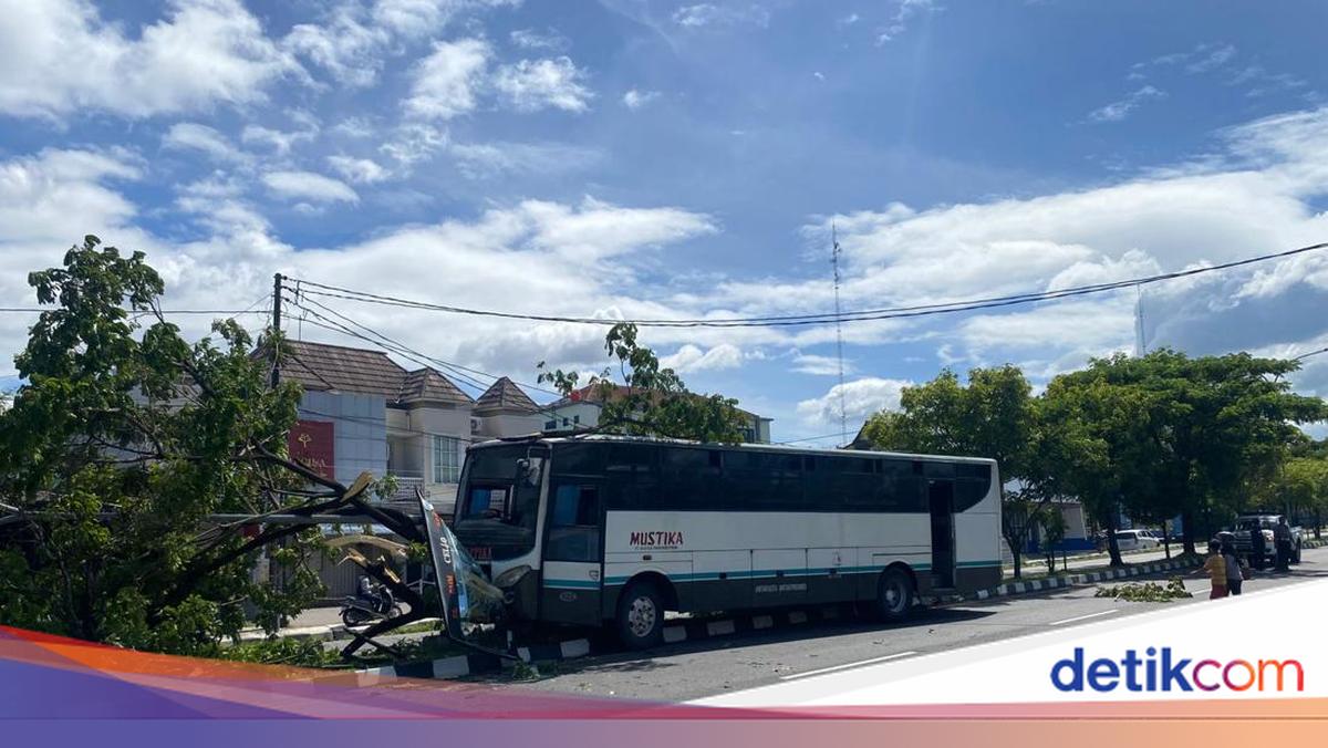 Mustika bus crashes into a tree on Yogyakarta's South Ring Road after avoiding a motorcycle