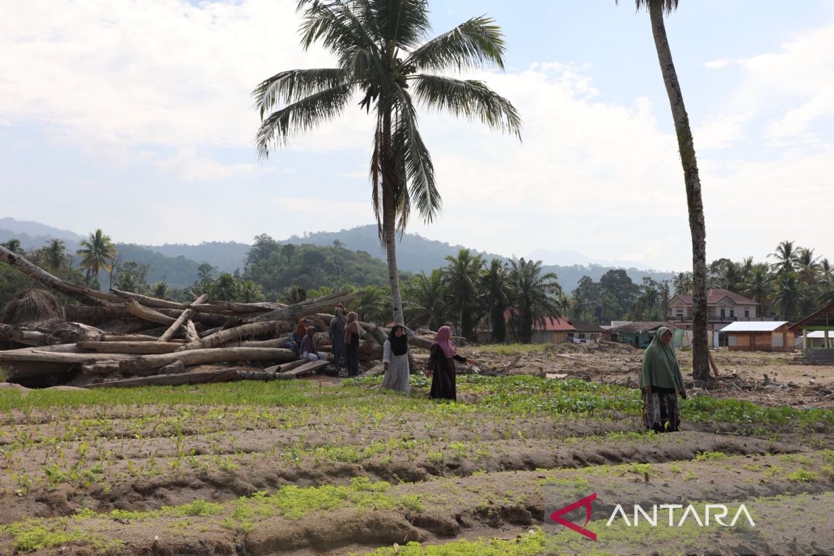  Academics Bring Agricultural Innovation to Help Rebuild Post-Disaster Tapanuli