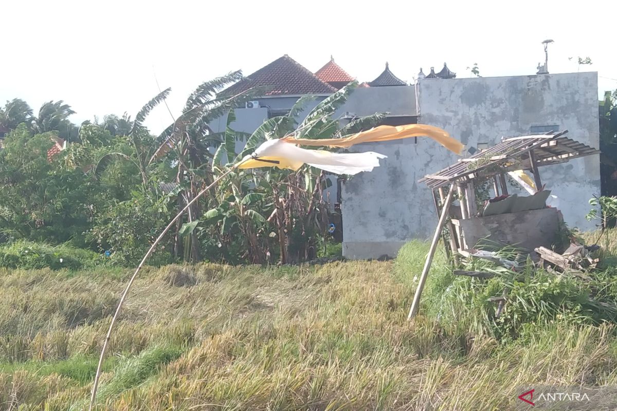 BBMKG warns of potential strong winds in Bali waters up to 25 knots