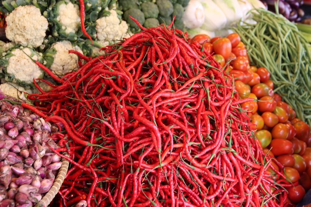 Penajam farmers' small chilli production reaches 1,680 tonnes per year
