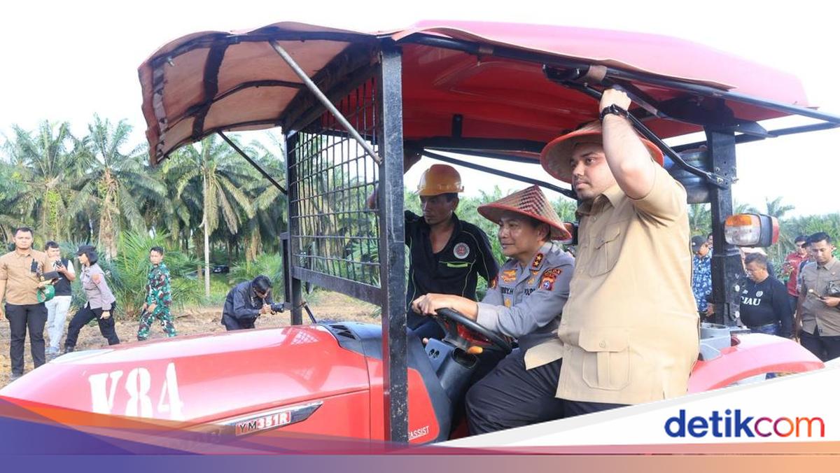 Riau Police Tap 40-Hectare Palm Oil Replanting Land for Intercropped Corn