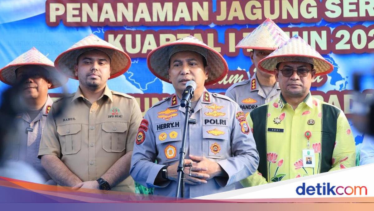 Riau Police Chief Attends Corn Planting, Reports 2025 Production Gains
