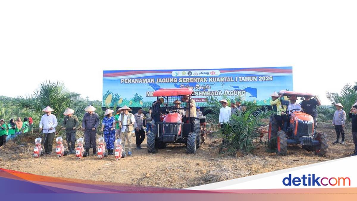 Riau Police Launches Agricultural Insurance to Protect Corn Crops