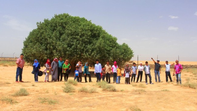 There Is a 'Companion' of the Prophet Muhammad Still Alive—Who Is It?