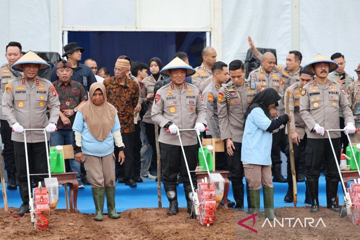 Metro Jaya Police Plant Corn Despite Limited Land