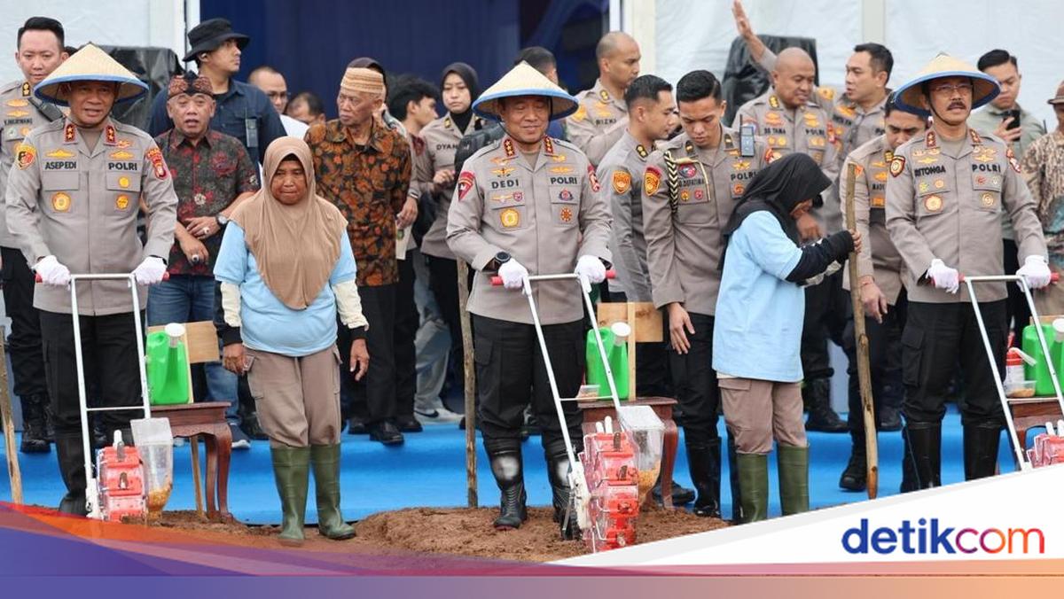 To Realise Food Self-Sufficiency, Metro Jaya Police Plant Corn on 50-Hectare Plot in Bekasi