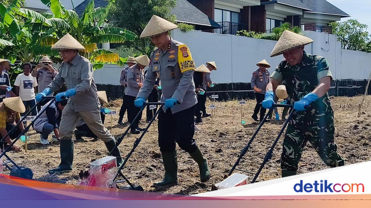 Bali Police Plant Corn Simultaneously to Support 2026 Food Self-Sufficiency