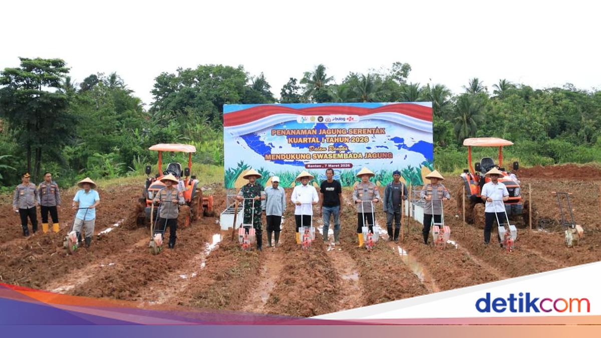Banten Police Chief Reveals Bulog Absorbed 2,997 Tonnes of Harvested Corn in 2025