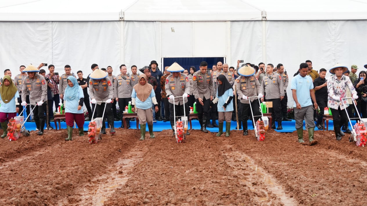 Communities Harness Technology and High-Quality Seeds to Double Corn Yields