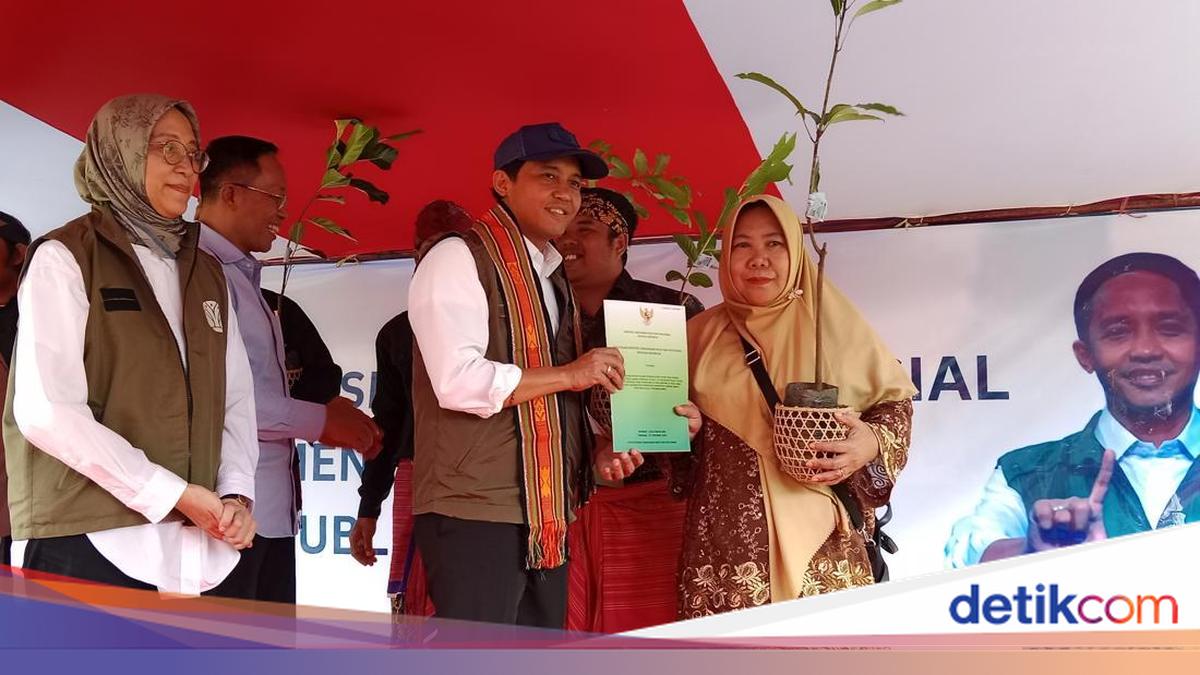 Minister of Forestry Hands Over 560.57-Hectare Social Forestry Decree in West Nusa Tenggara (NTB)