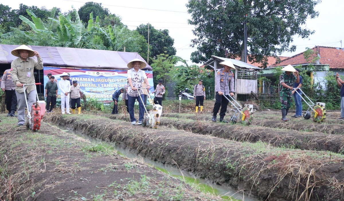 Brebes Regency Government and Police Plant Corn Simultaneously to Back Prabowo's Asta Cita