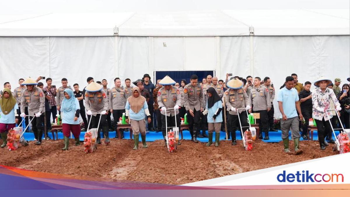 Simultaneous Corn Planting in Q1 2026: POLRI Distributes Agricultural Machinery to Farmers