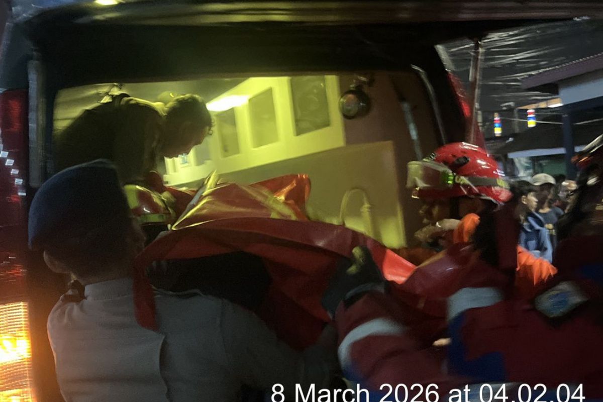 A motorcyclist dies after being struck by a fallen tree in South Jakarta