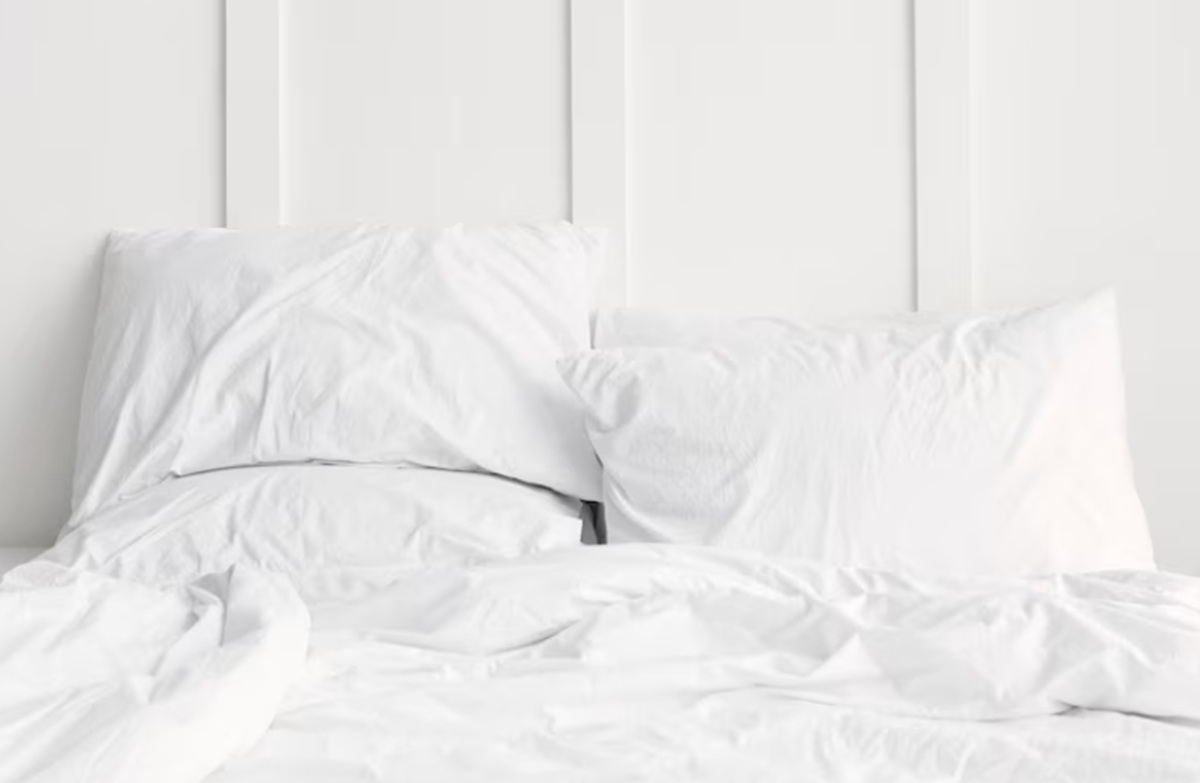 Who would have thought: the bed bug's arch-enemy is actually water