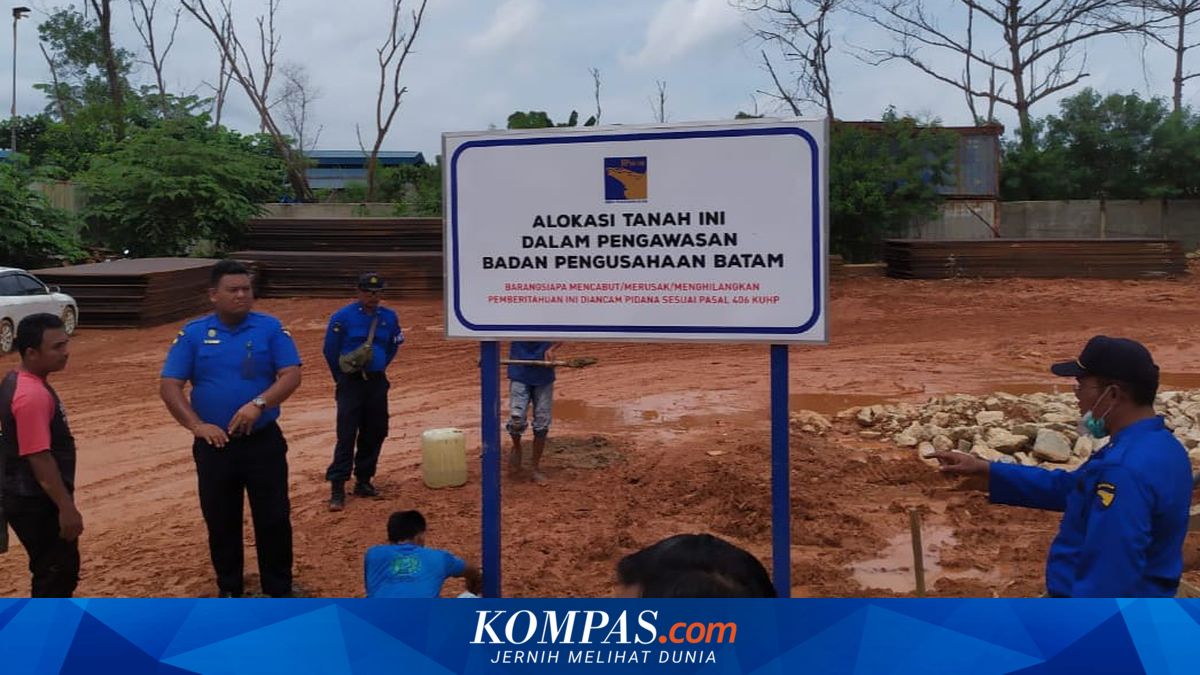 Characteristics of Idle Land to Be Expropriated by the State