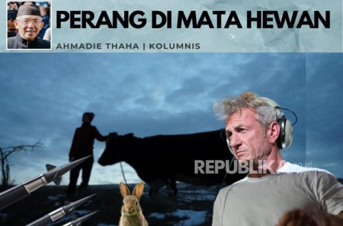 War Through the Eyes of Animals