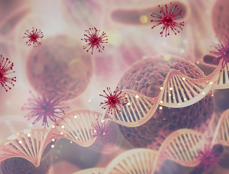 The Link Between Fasting and Autophagy: How Cells Clean Themselves Naturally