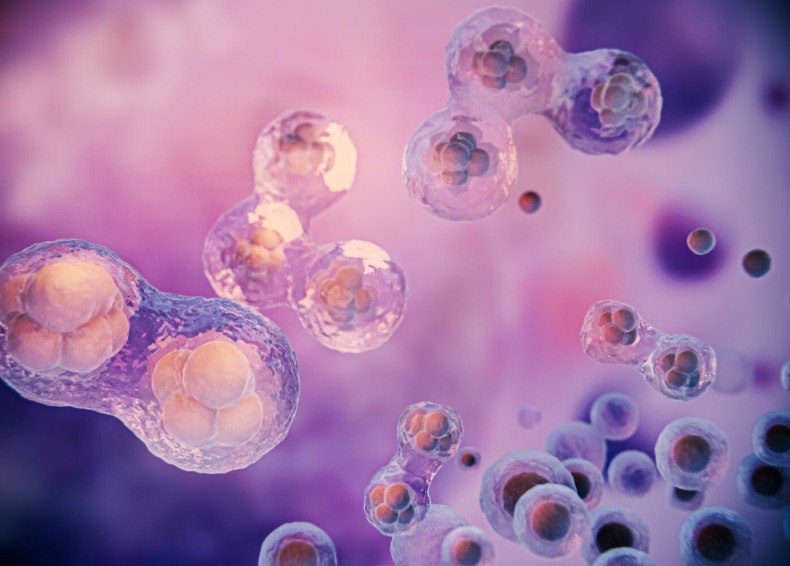 Understanding Autophagy: Benefits, How It Works, and How to Trigger It for Cellular Health