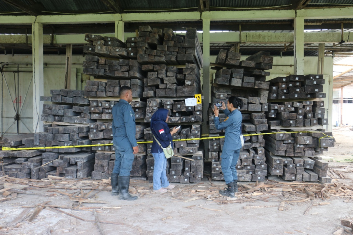 Forestry Law Enforcement Hands Over Two Suspects in Illegal Ebony Timber Case to East Seram District Prosecutor's Office