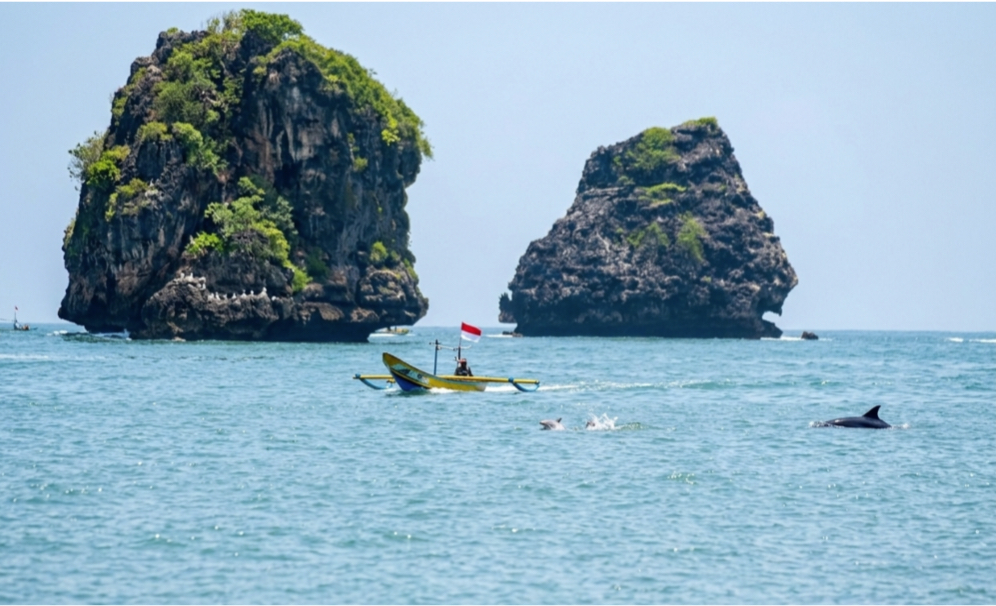 Coral Reef Garden Technology Accelerates Marine Ecosystem Recovery in East Java