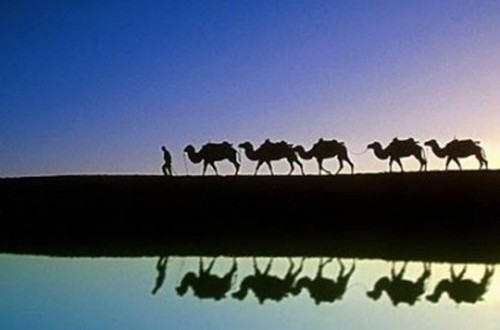 A Victory of Restraint: The Liberation of Mecca, Ramadan 8 AH