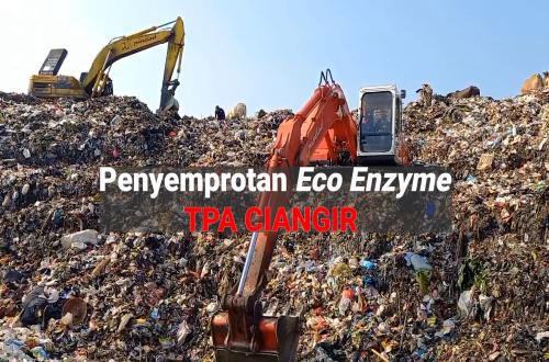 What Is Eco Enzyme? A Versatile Liquid Made from Organic Waste That Is Environmentally Friendly
