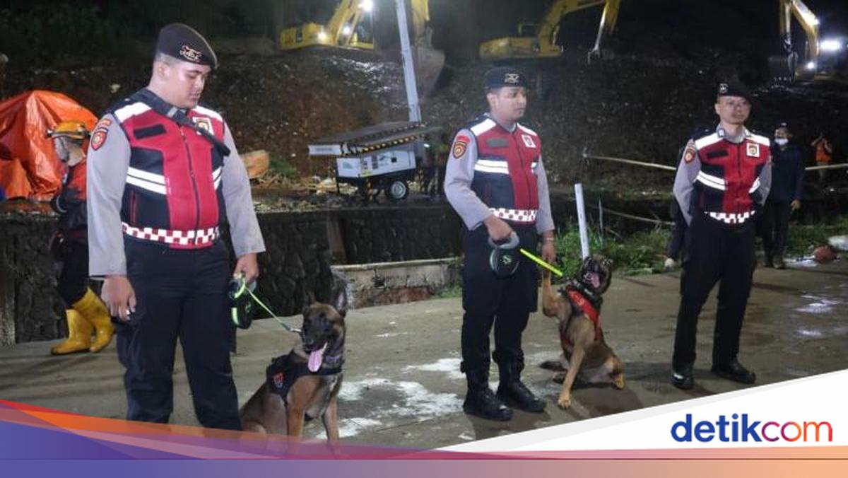 Death toll from Bantargebang rubbish mountain collapse rises to four