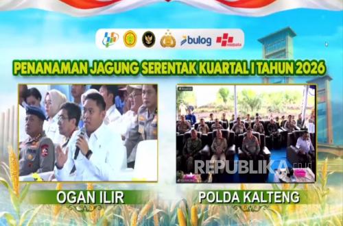 Deputy Minister of Agriculture Sudaryono: Government Prepares Free Seeds to Support Maize Self-Sufficiency