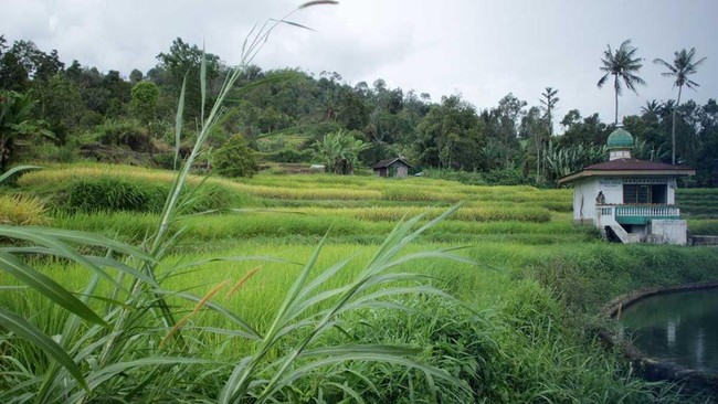 Materialism and Sacred Space