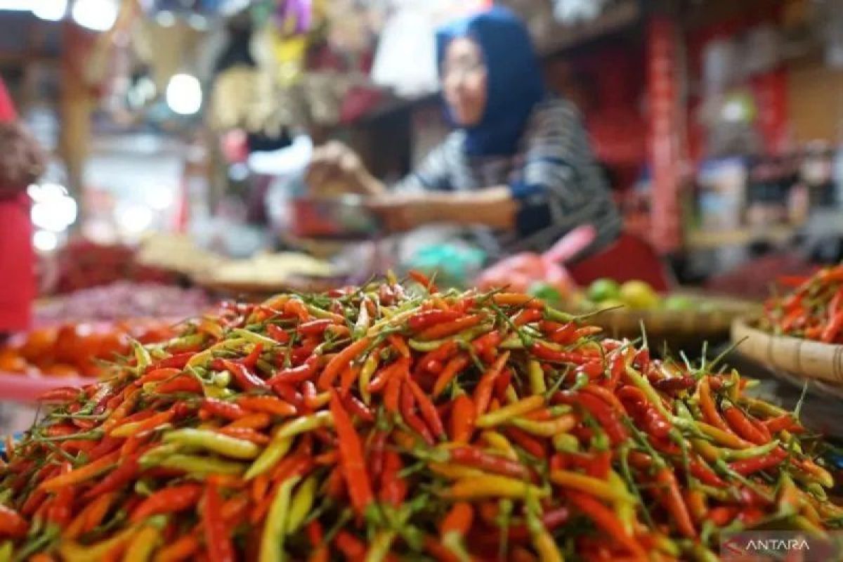 PIHPS: Chicken meat priced at Rp41,750/kg, red chilli at Rp85,500/kg