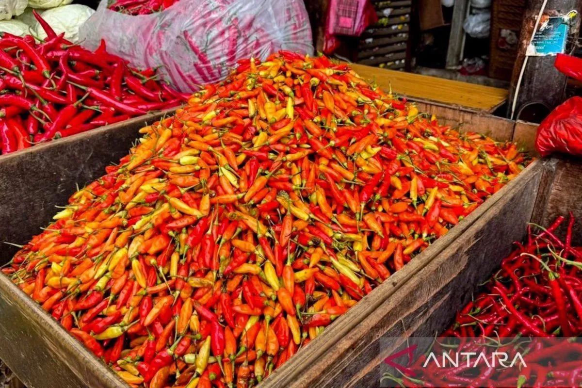 BPS: Eggs and Bird's Eye Chilli Drive Price Index Rise Ahead of Eid