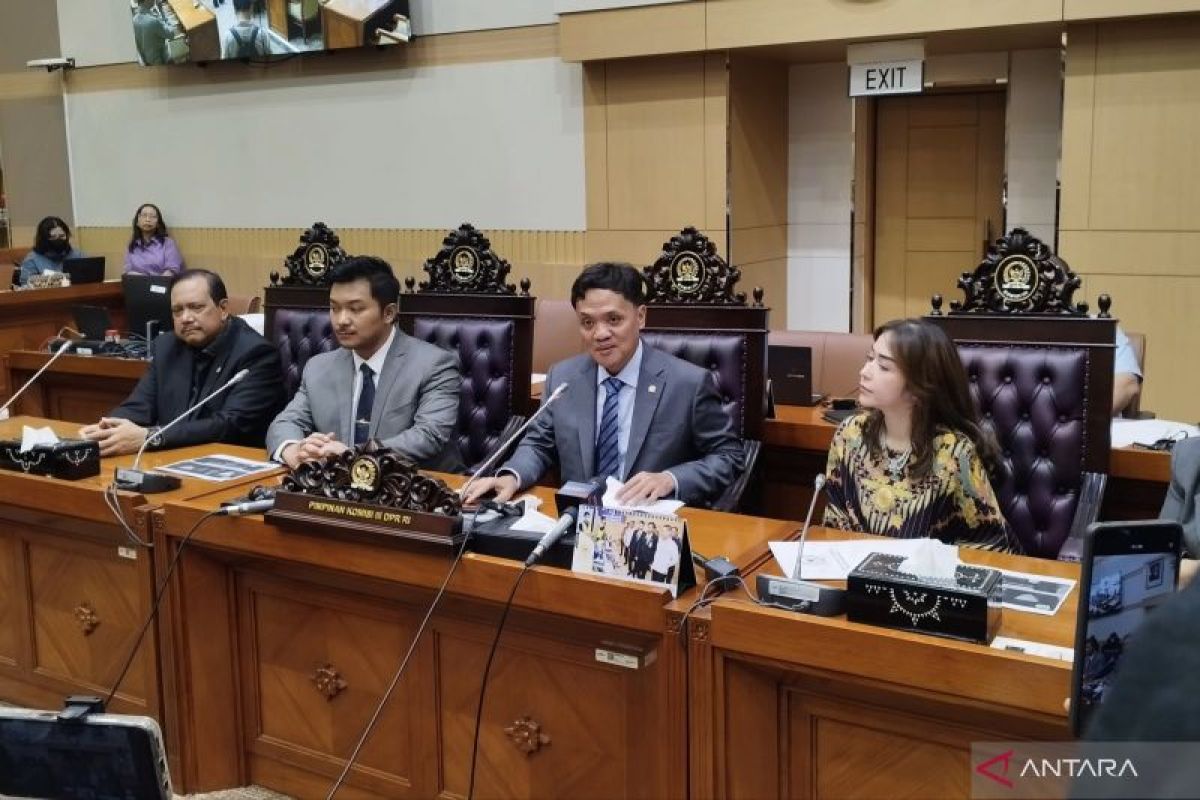 Not all cases like Nabilah O'Brien's should go to court: DPR chair
