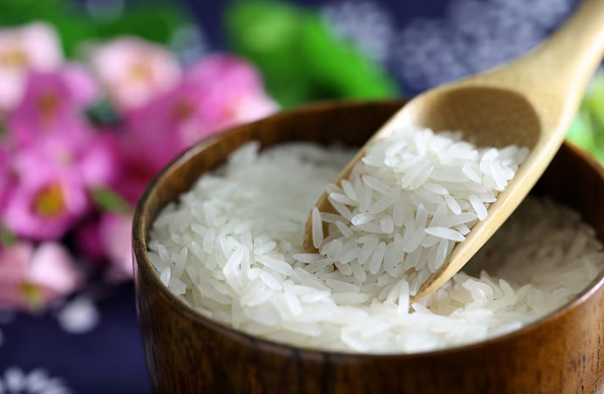 Rice Could Be a Solution for Healthy Plant-Based Cheese for Allergy Sufferers