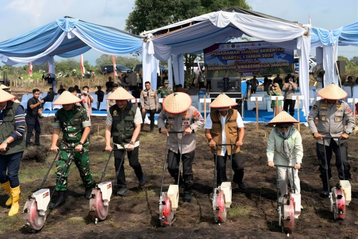 Collaboration Revives 30-Year Dormant Land to Support Corn Self-Sufficiency