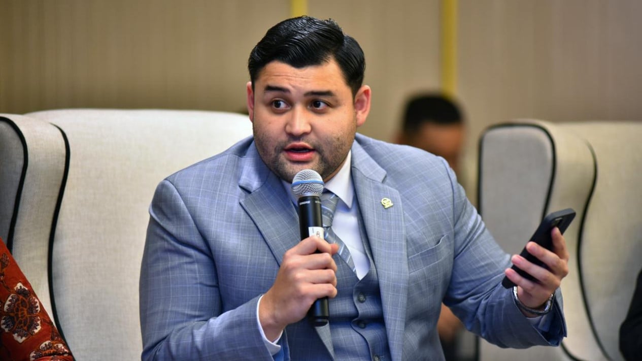 Social Media Restrictions for Children: DPR Member Calls it Right Step to Protect Youth