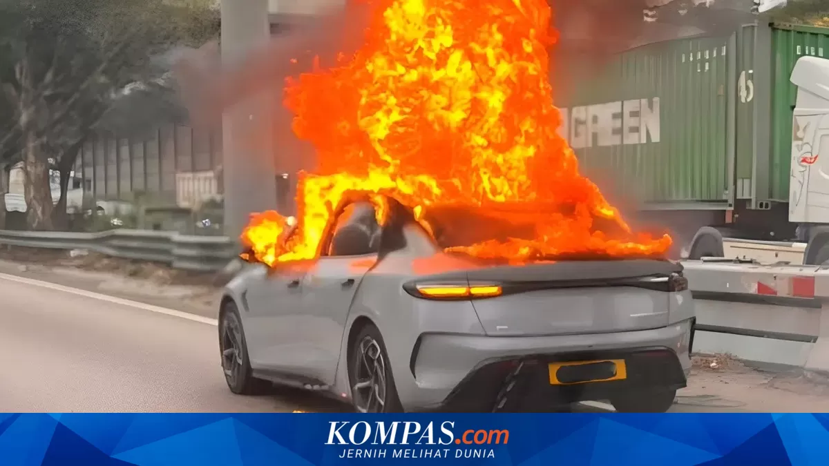 BYD Seal Electric Vehicle Fire Incident Explained: Power Bank Was the Culprit