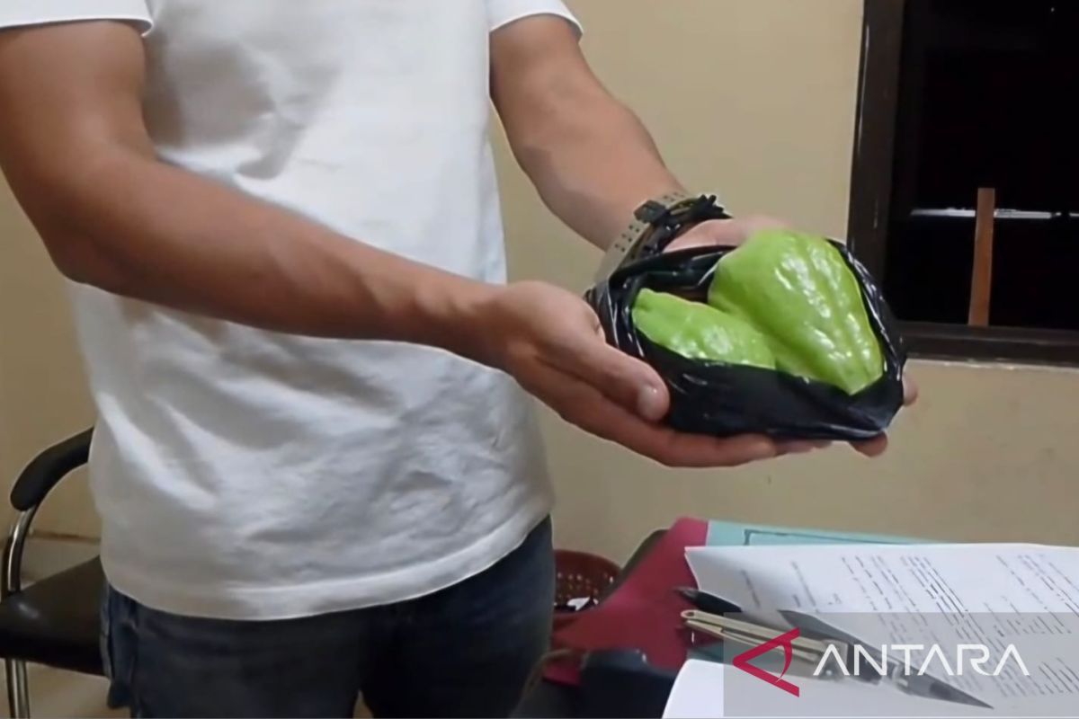 Chayote for Breaking Fast Leads to Man's Death in Cianjur