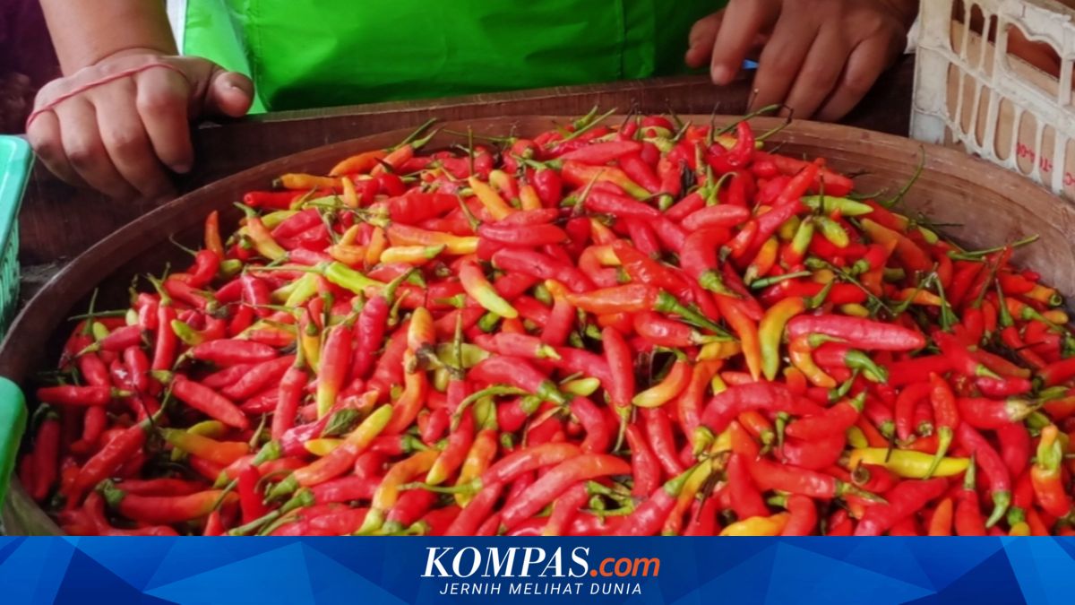 BPS Records Price Increases in Eggs, Chicken, and Chilli across Several Regions