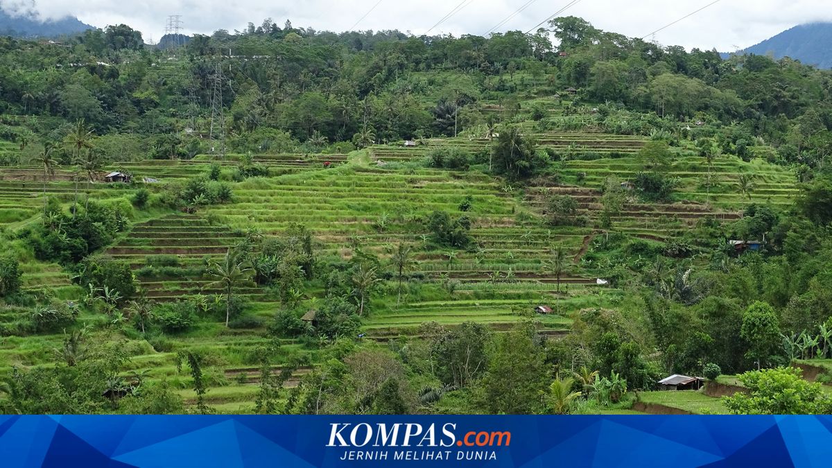 Bali in Land-Use Crisis: Criminal Sanctions Threaten Land Conversion Offenders