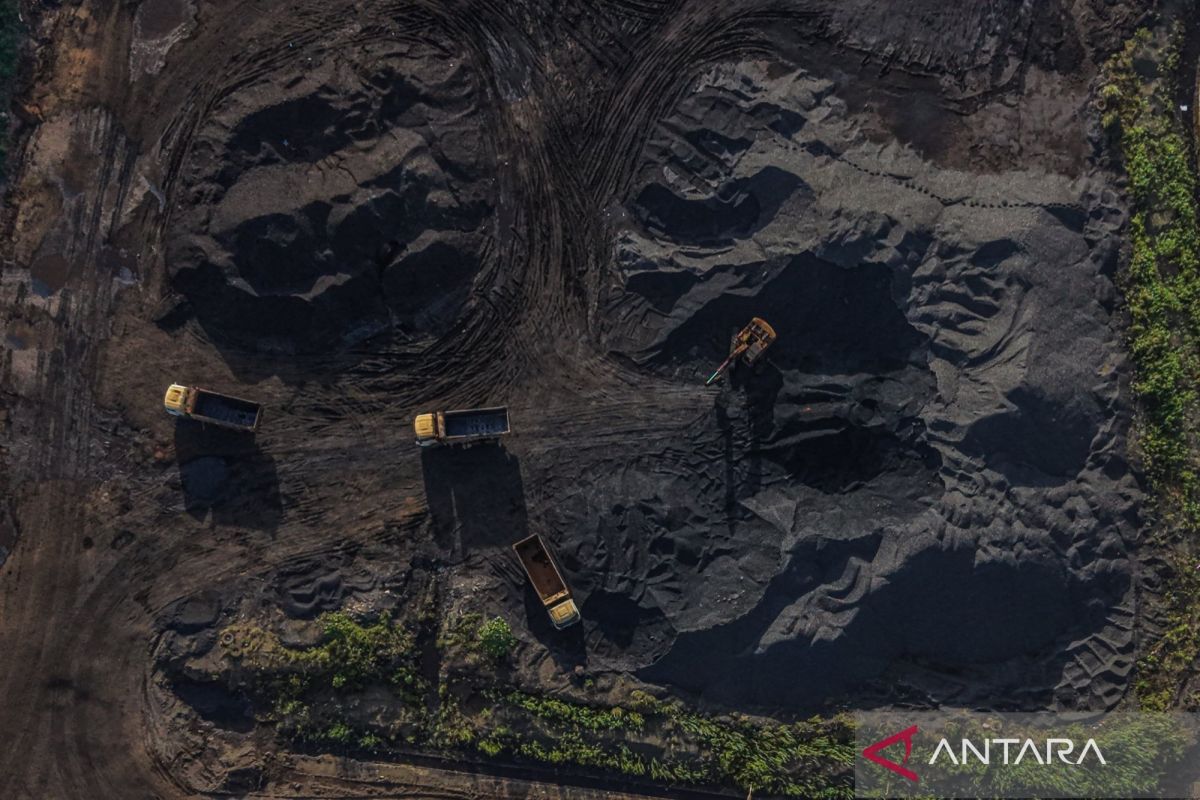 Experts: Stable policy is key to attracting critical mineral investment