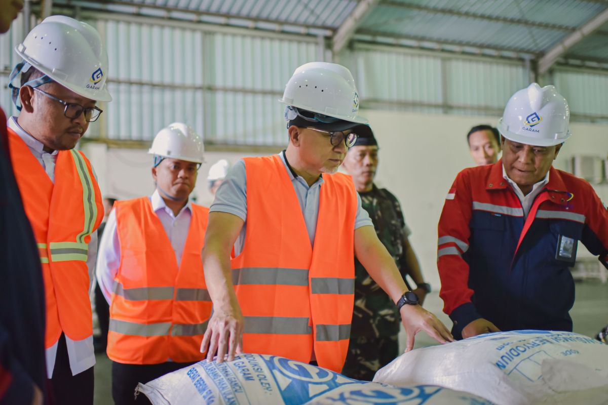 Coordinating Minister for Food Drives Acceleration of National Salt Self-Sufficiency by 2027