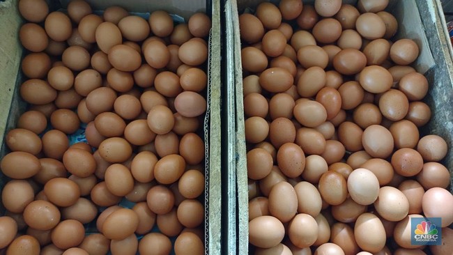 Chicken Meat and Egg Prices Show Anomalies Again; Ministry of Agriculture Reveals Root Cause