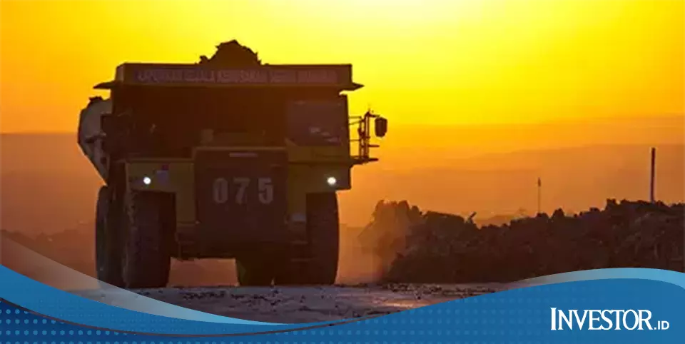 ADRO Delivers Surprise Results as Share Price Remains Attractive