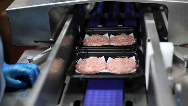 Once a Darling, Vegan Meat Now Falling Out of Favour