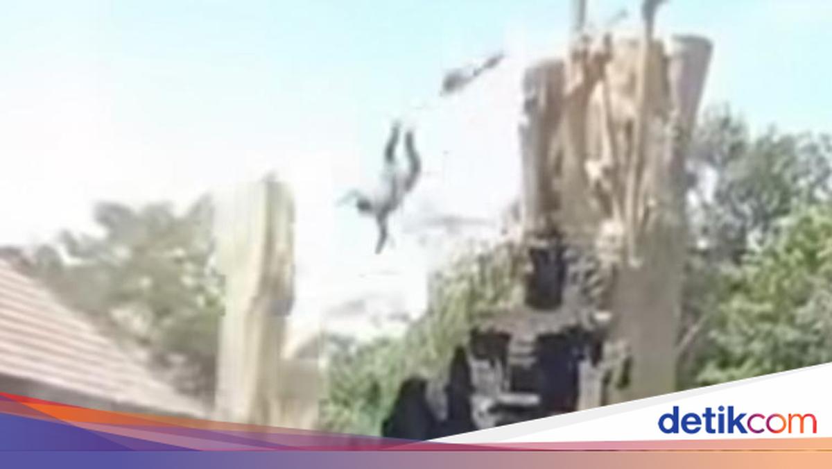 Tree-cutter in Badung Dies After Falling from Height Due to Faulty Safety Tie