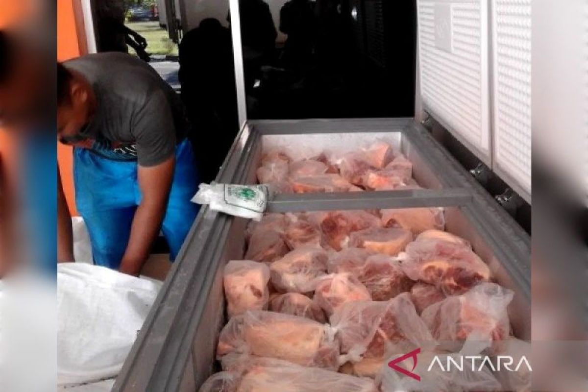 JAPPDI Urges Government to Monitor Buffalo Meat Prices Ahead of Eid al-Fitr