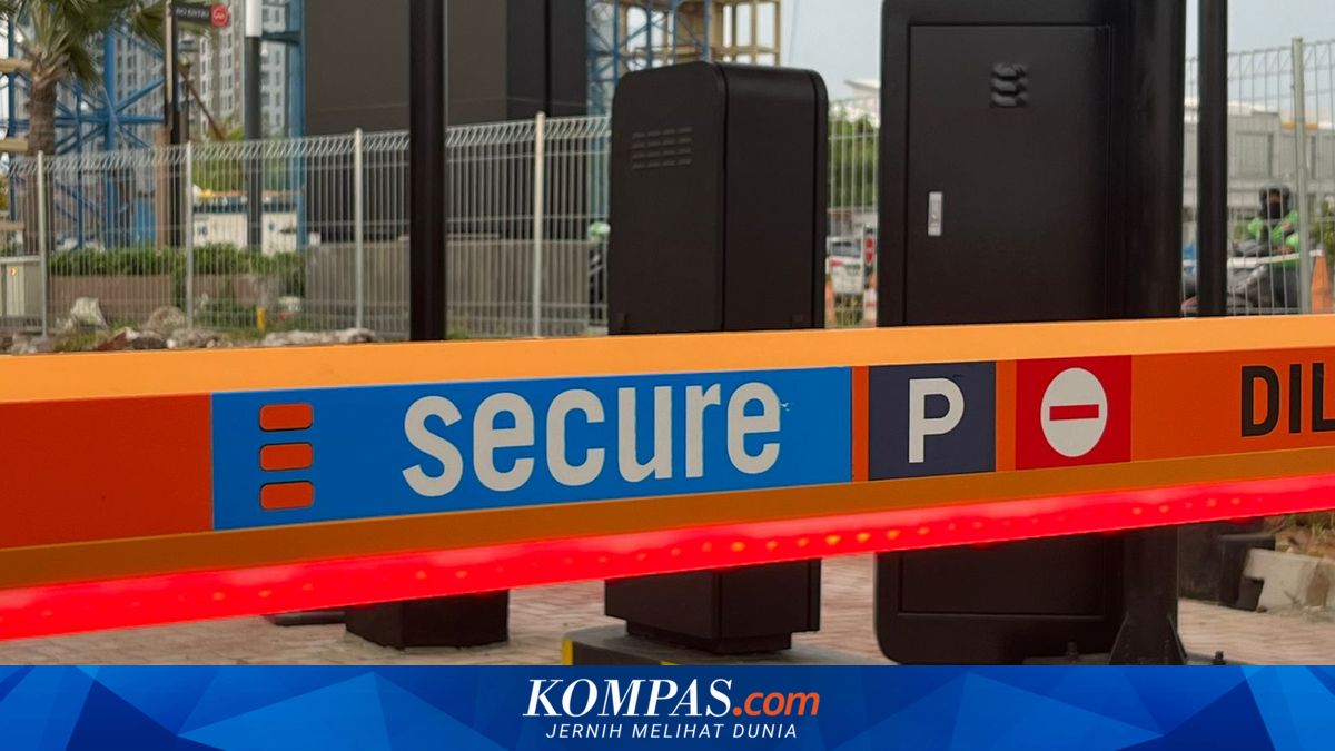 Looking Ahead, Secure Parking Prepares Financial Governance for IPO Opportunity